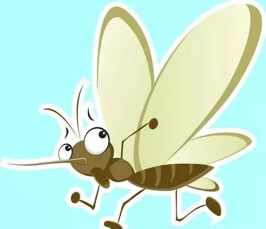 网传“驱蚊大法”有用吗？疾控专家一一破解！