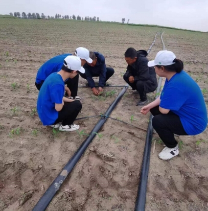 破碱重生，共治盐田—内蒙古师范大学盐碱地改良团队的创新实践 