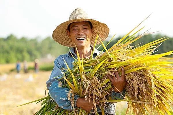 兴业银行挂钩帮扶点政和县脱贫“摘帽”焕新颜 