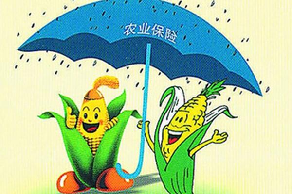 看过来~内蒙古辖区政策性农业保险实现承保电子化啦！
