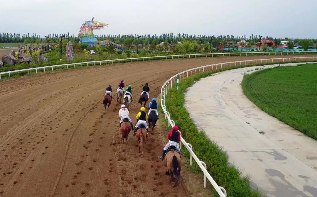 2020年“奥威•蒙古马常规赛”成功举办