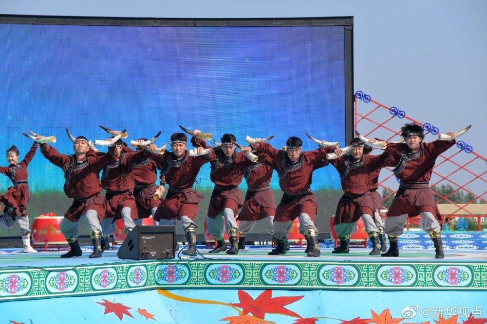 牛！牛！牛！内蒙古首届赛牛节 赛出三“牛王”