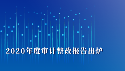 2020年度审计整改清单“晒”给你！