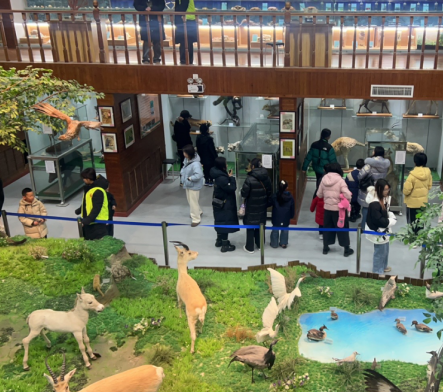 党建领航科普惠民,探索自然共迎新年——内蒙古师范大学生物标本馆开放日活动成功举办